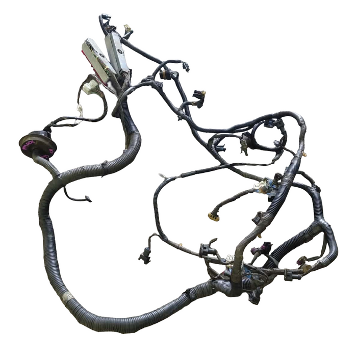 myr001 - VY SS Holden Commodore V8 LS1 - Engine Harness