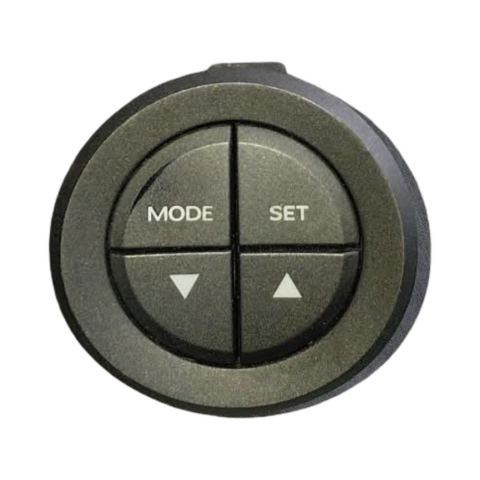 A225 - VZ Holden Commodore Utility - Mode Switch GENUINE - GREY