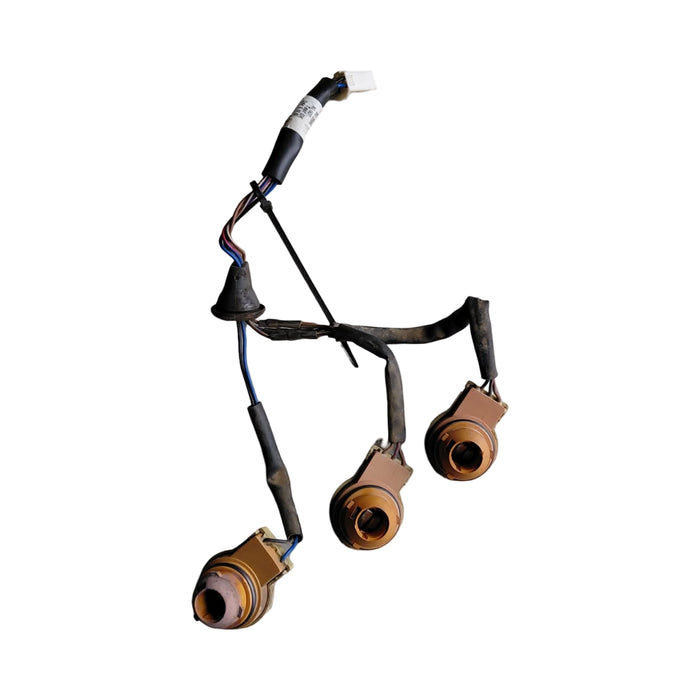 WH Holden Statesman - Taillight Loom - LH / RH Compatible