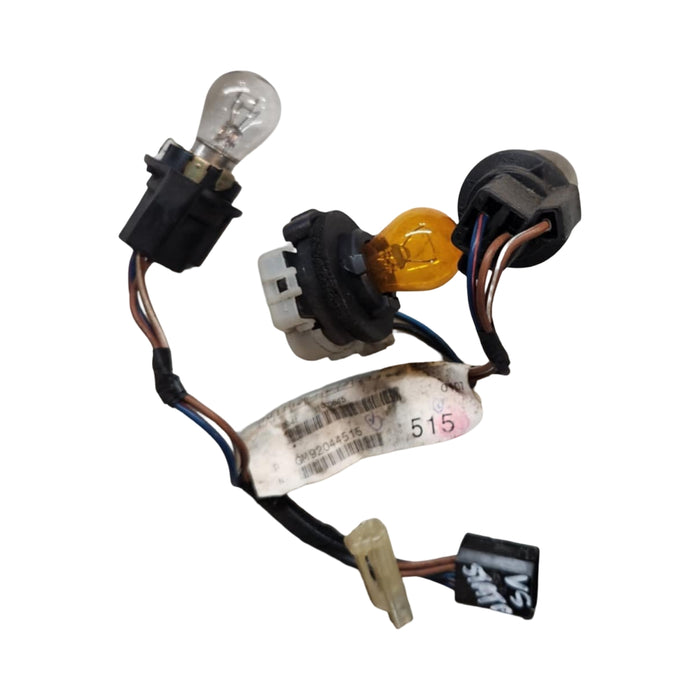 A283 - VS Holden Statesman - Taillight Loom - DRIVERS SIDE