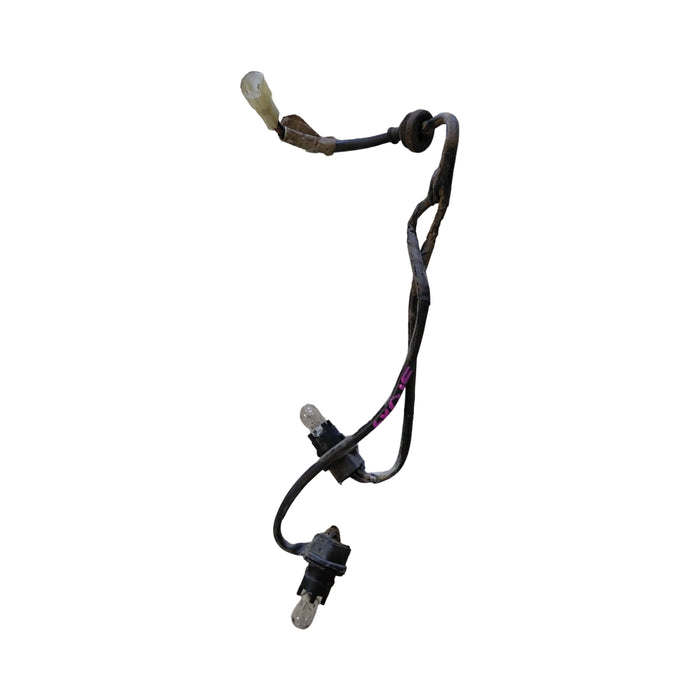 EX015 - VS SI Holden Commodore Sedan - Number Plate Light Loom
