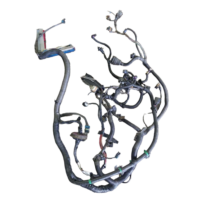 myr001 - WH Holden Statesman V8 LS1 - Engine Harness