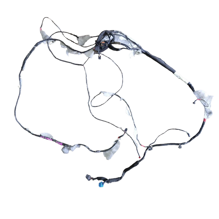 A288 - WM Holden Caprice V (2010) - Roof Wiring Harness / Loom (sunroof)