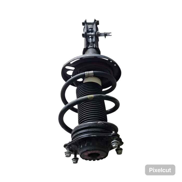A107 - ZB HOLDEN COMMODORE SEDAN/HATCH - Front Strut (PASSENGER'S SIDE)