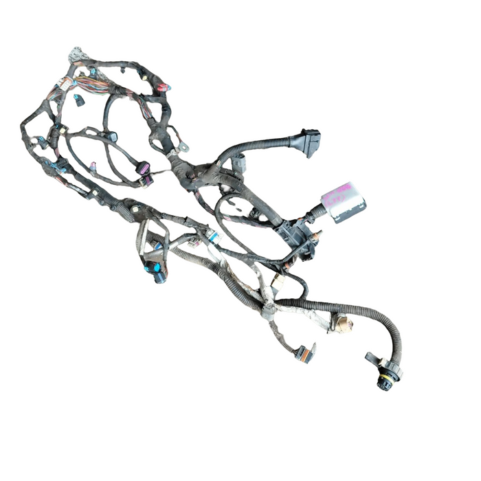 A288 - WM Holden Caprice V (2010) - Engine Harness V8 AUTO L77
