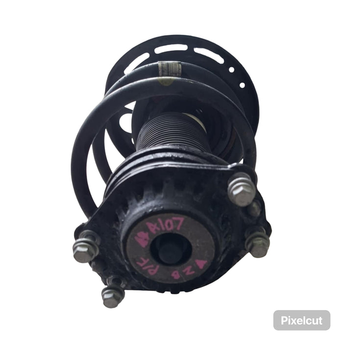 A107 - ZB HOLDEN COMMODORE SEDAN/HATCH - Front Strut (PASSENGER'S SIDE)