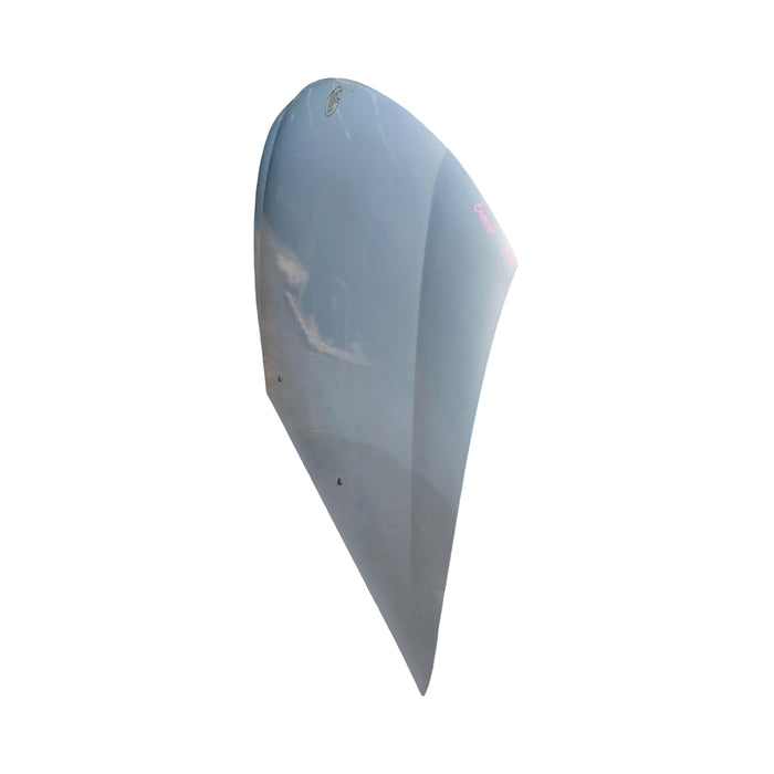 EX006 - VT Series II Holden Commodore Sedan - Bonnet - ORION SILVER FROST #H099