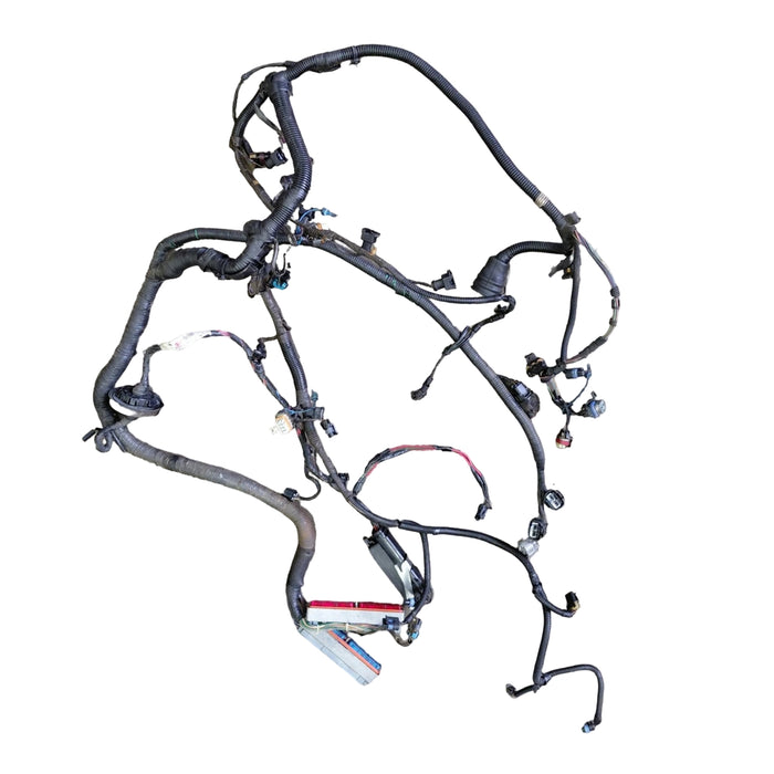 JM019 - WK Holden Statesman (2003) - V8 AUTO LS1 Engine Harness - VIN: 6G7KY54F44L159231