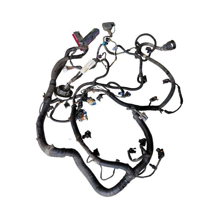 JM011 - VY Holden Commodore - Engine Wiring Harness V8 LS1 AUTO - S/N: 12200411 DSKW (RED/BLUE)