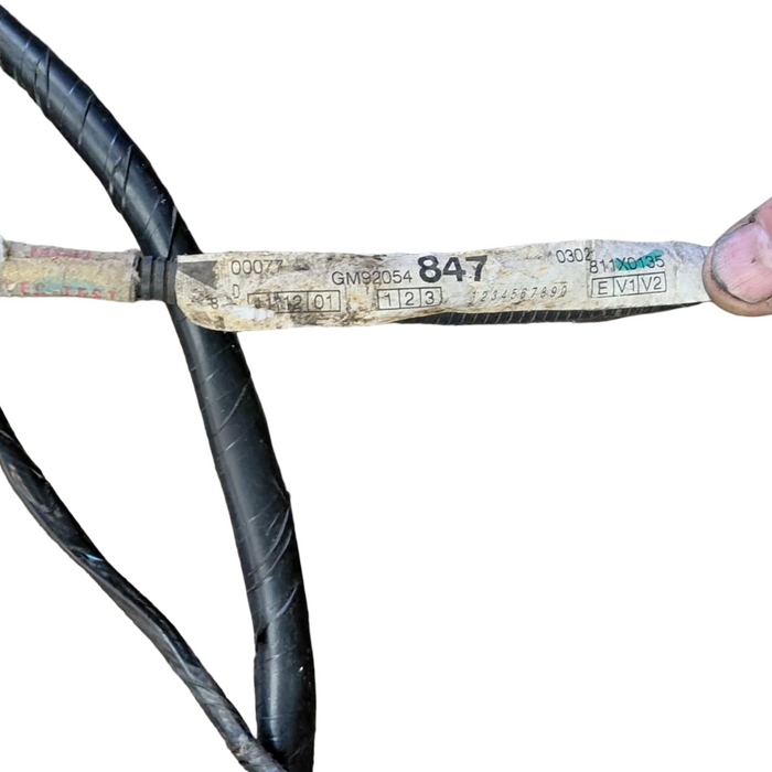 A231 - VT SERIES I Holden Commodore SEDAN (1999) - Body Wiring Harness LN3 V6 MANUAL