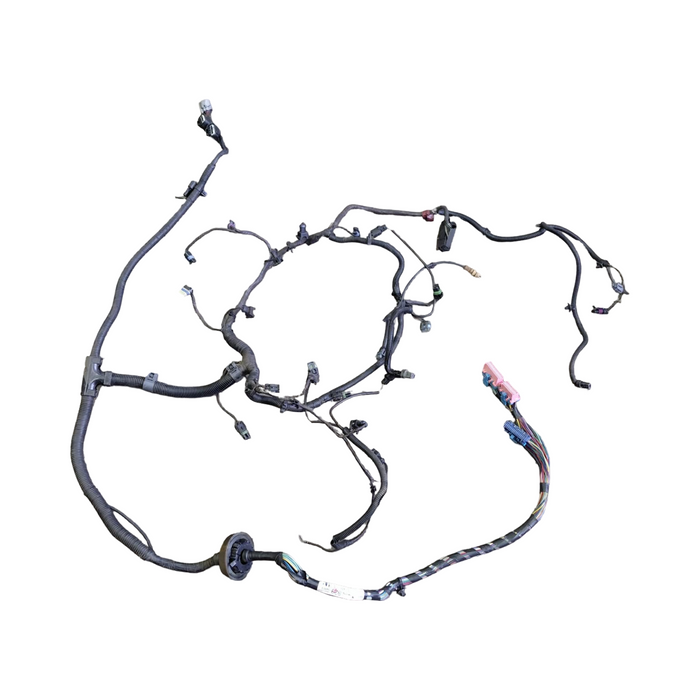A231 - VT SERIES I Holden Commodore LN3 V6 MANUAL- Engine Wiring Harness