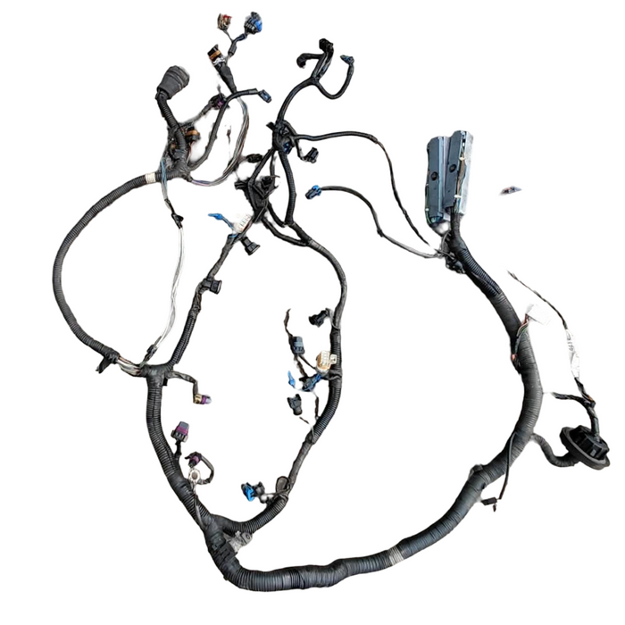 JMSS - VY SS Holden Commodore SEDAN LS1 V8 AUTO - Engine  Harness