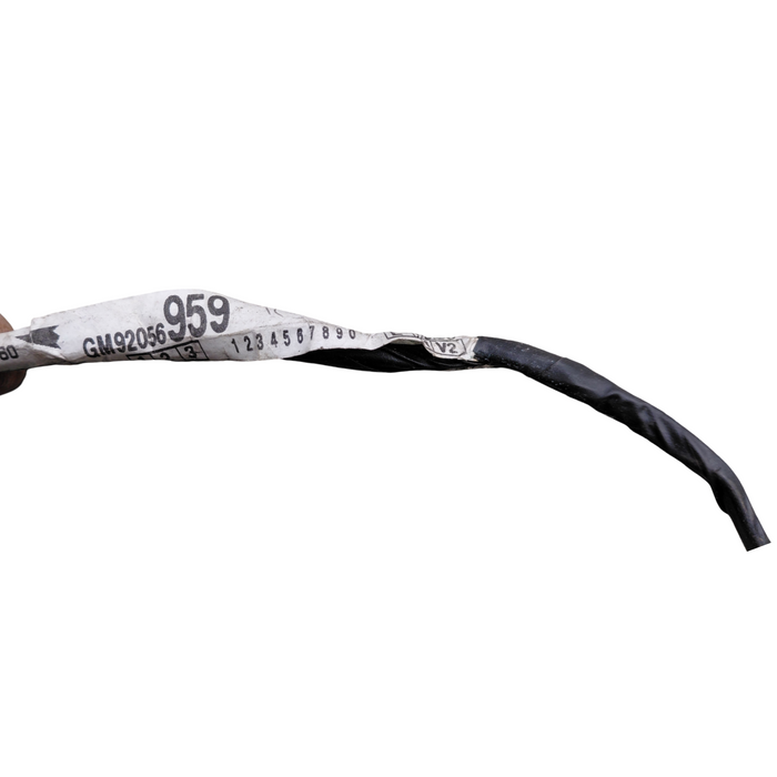A166 - VS Holden Commodore Sedan - PASSENGERS REAR Door Harness (MANUAL WINDOW)