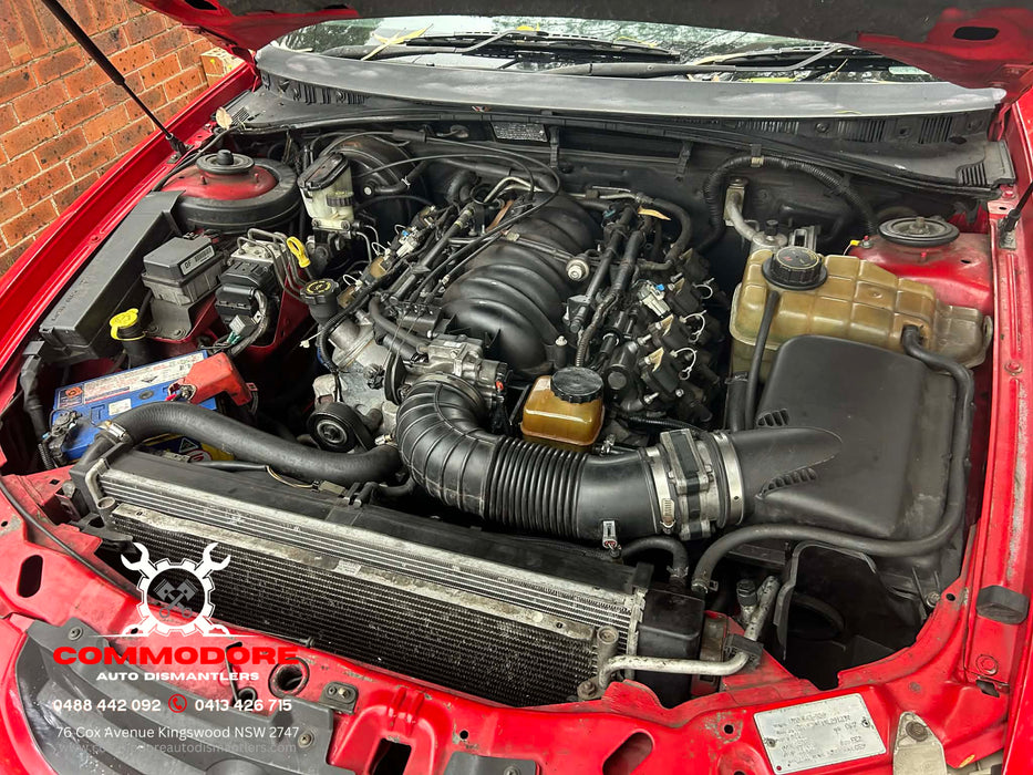 vycrew - VT, VX, VU, VY, VZ Holden Commodore V8 LS1 - T56 Manual Transmission and Clutch