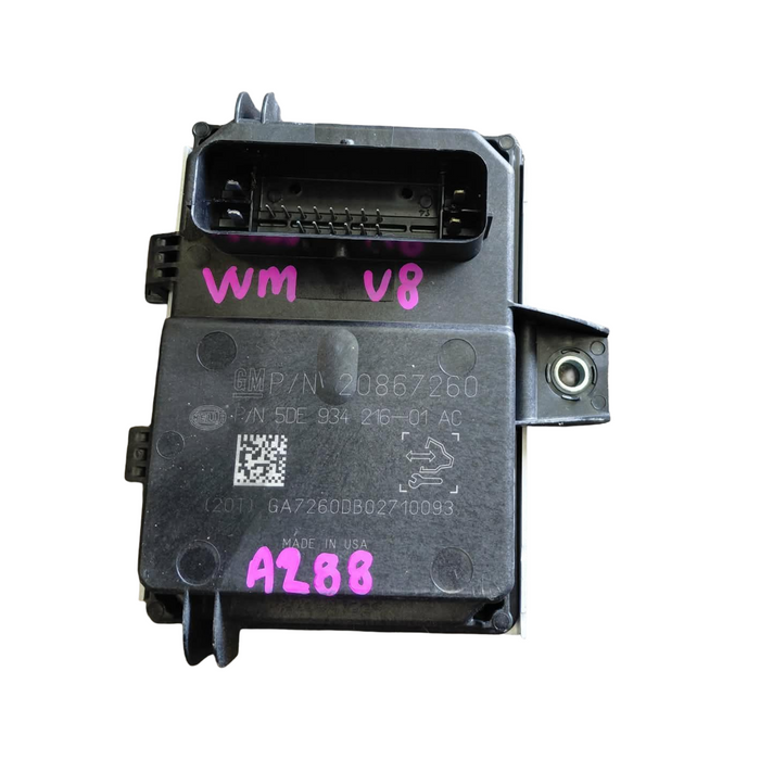 A288 - WM Holden Caprice V (2010) - Fuel Pump Module - V8 AUTO L77 - P/N 20867260