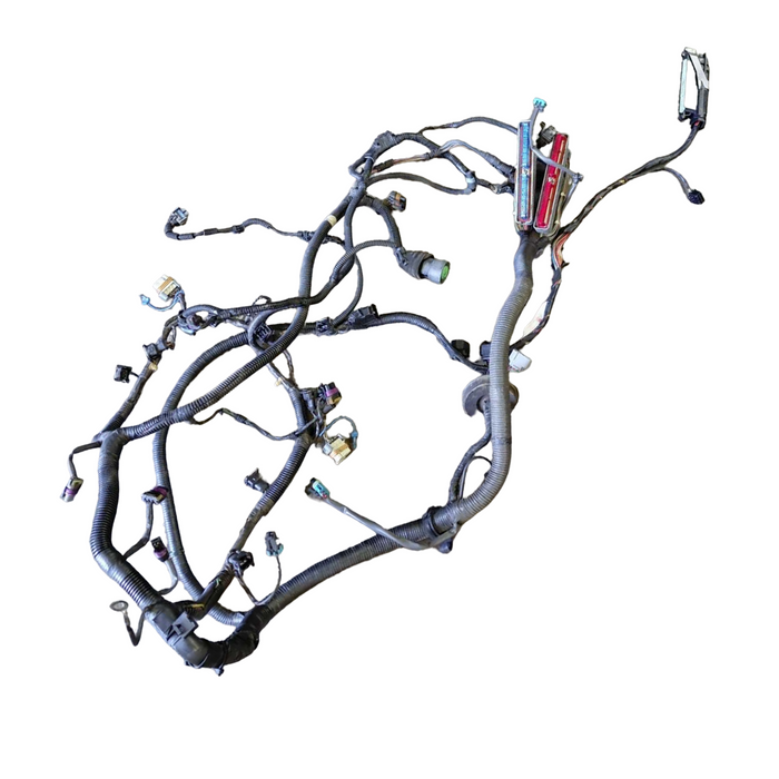 VXSS003 - VX SS Holden Commodore - Engine Harness V8 AUTO
