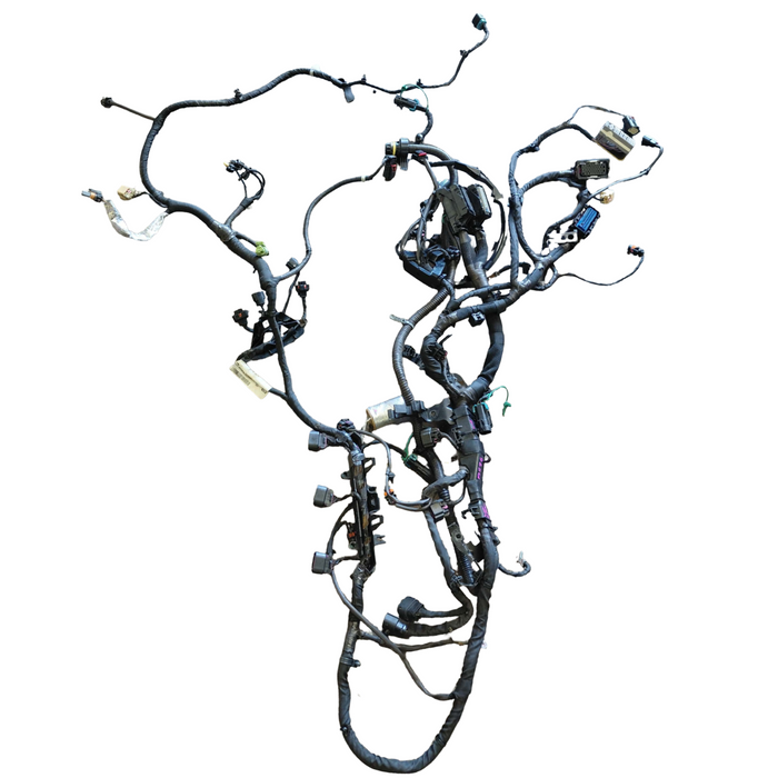 A296 - VF Holden Calais Sedan - V6 LFX Auto Engine Harness