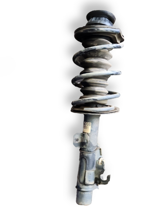 VF/WN - STANDARD Strut - Passengers REAR