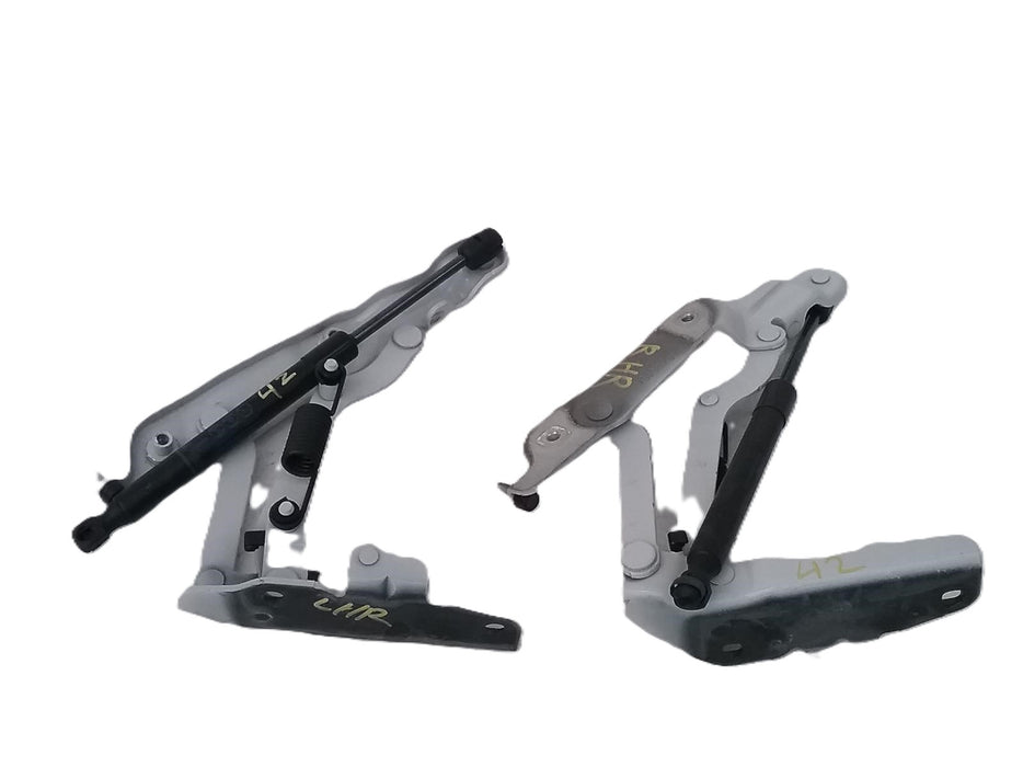 VF/WN - BOOT HINGE - Drivers Side