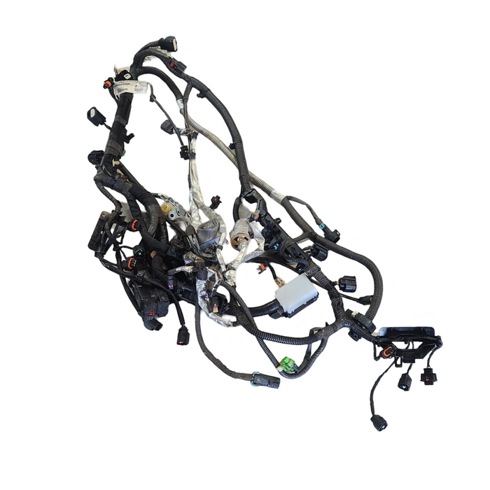 A204 - VE SV6 SERIES II - V6 VE LFX Auto - Engine Harness