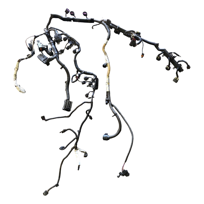 A267 - VE - HOLDEN CALAIS - V6 ENGINE HARNESS