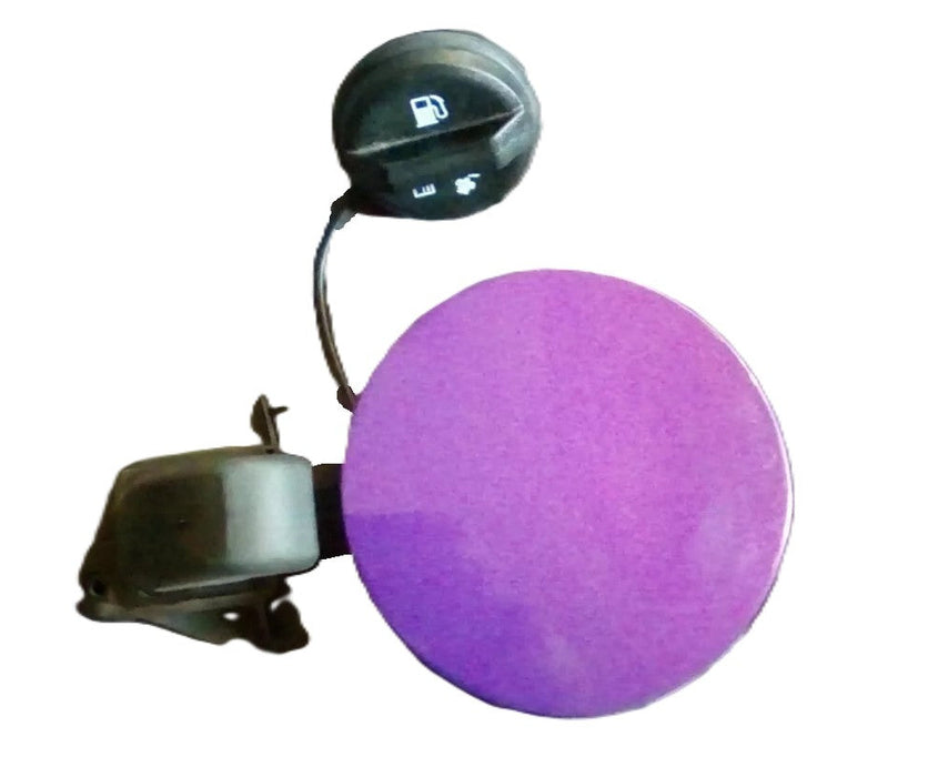 Z001 - VE HOLDEN COMMODORE SEDAN - FUEL FLAP Morpheous Purple Paint #4487