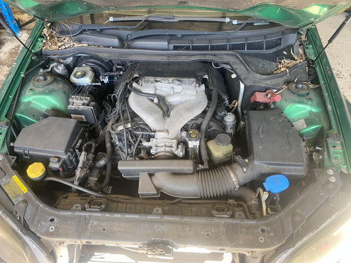 PIC7.jpg
