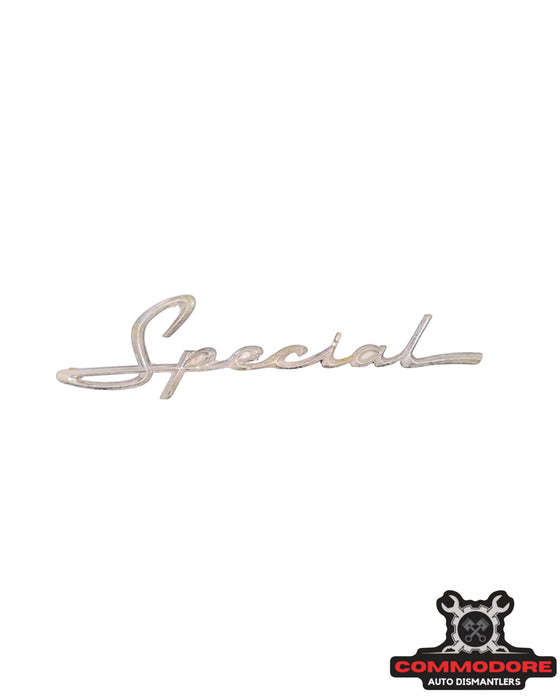 special script.jpeg