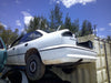 DSCF0003.JPG