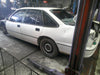 DSCF0005.JPG