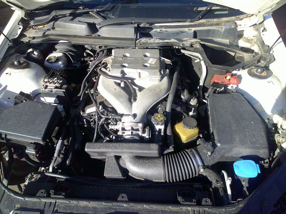 DSCF0082.JPG