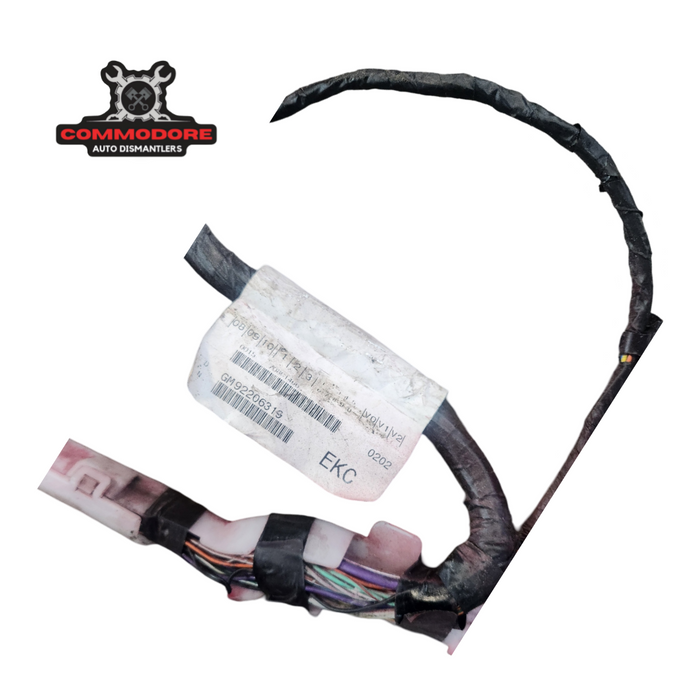 a132 - VE MALOO R8 - BODY HARNESS