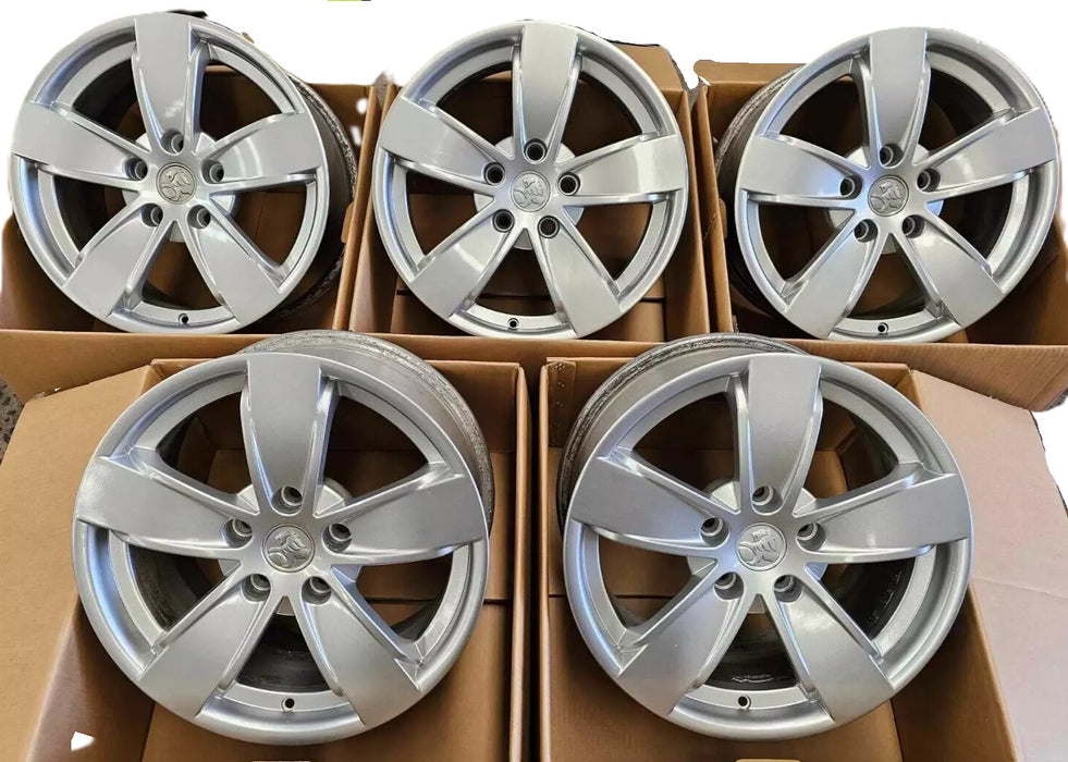 VT / VX SS Holden Commodore - Silver Centre Cap **NEW**